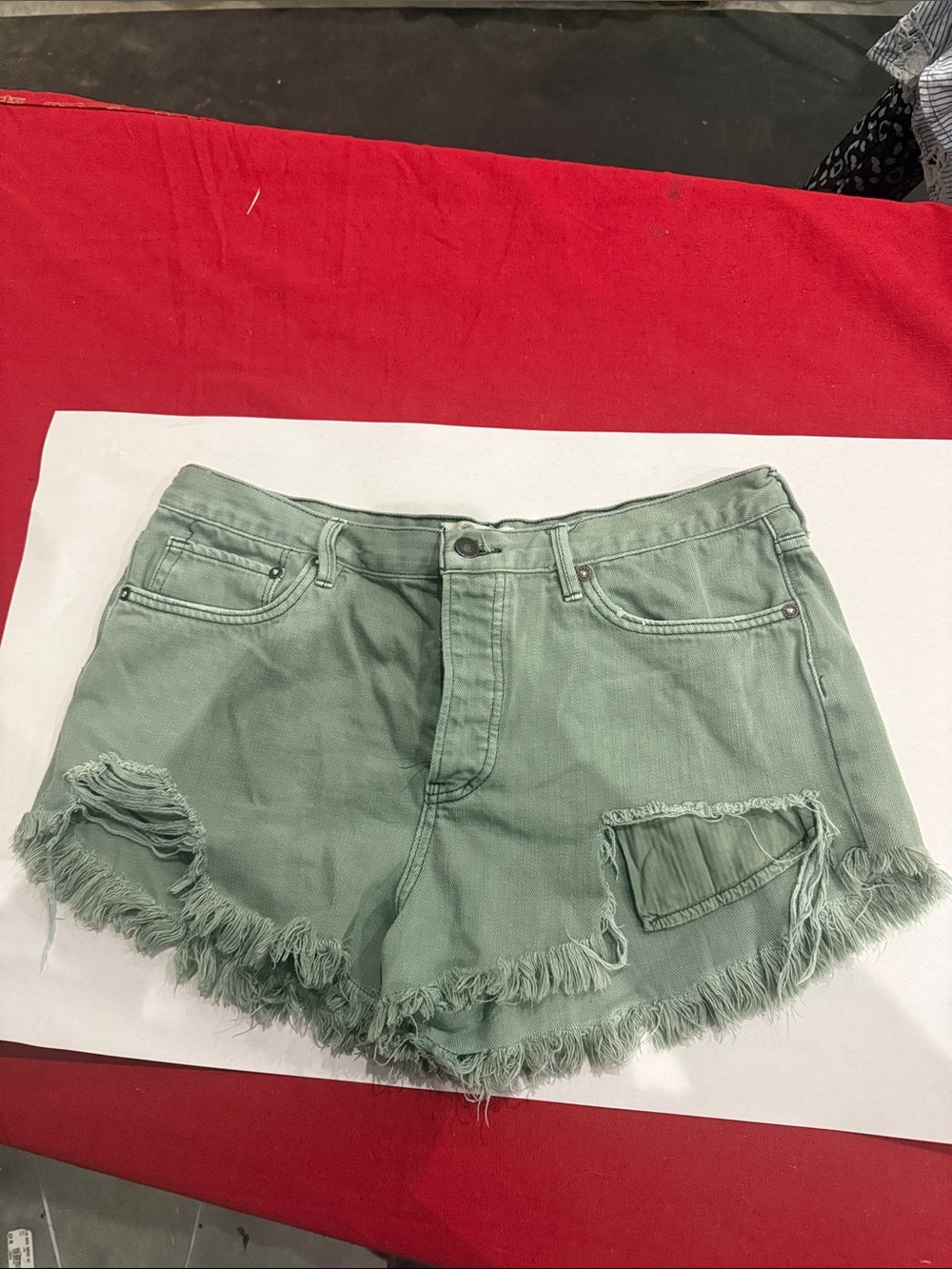 We The Free Mint Green Distressed Denim Shorts